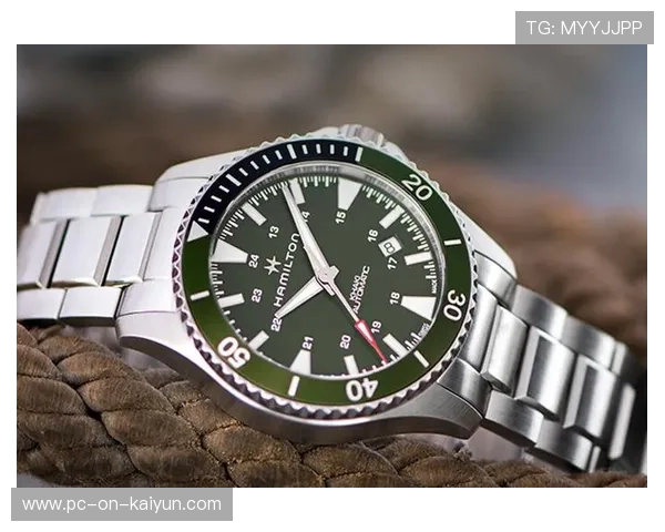 汉密尔顿关注弯心速度变化